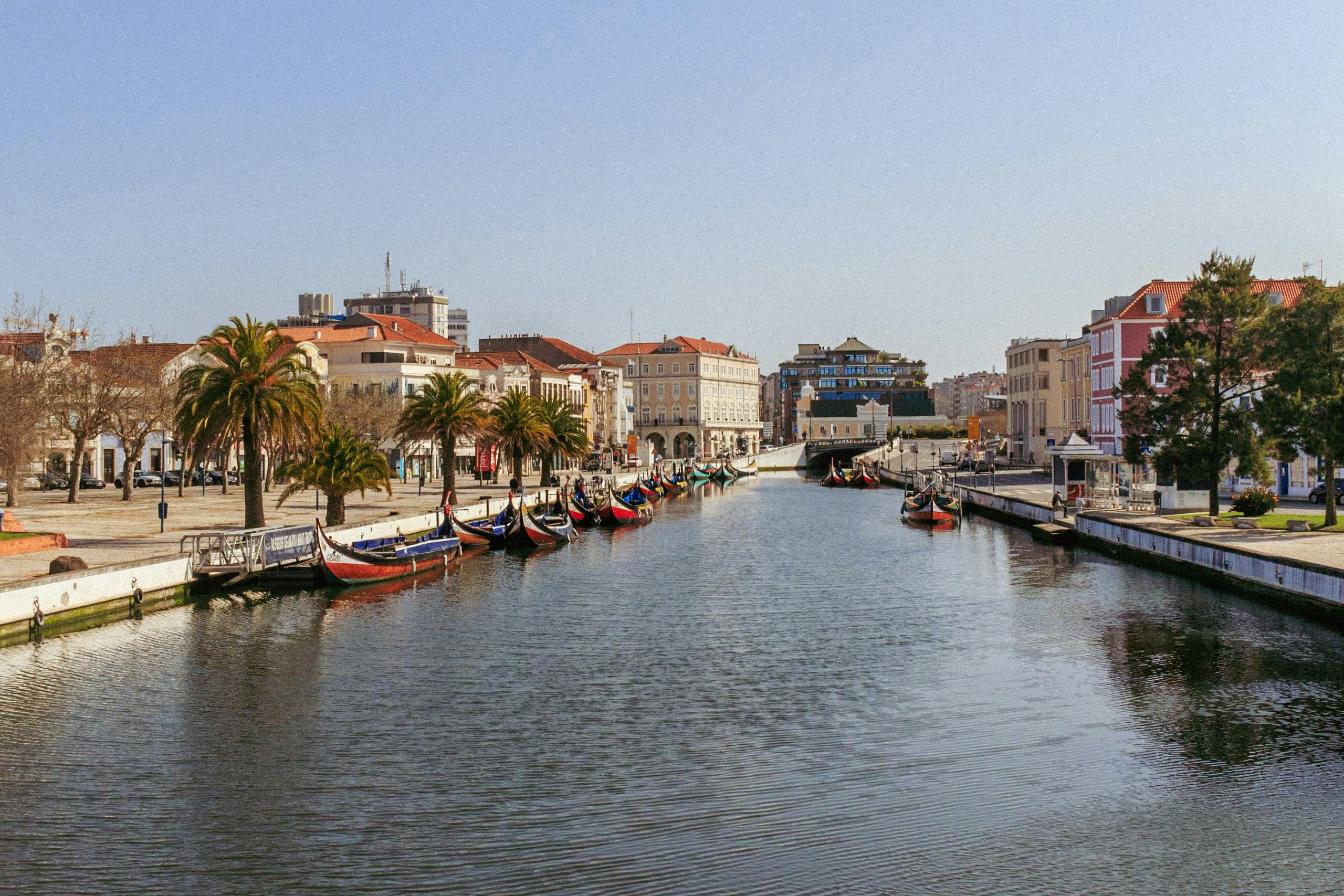 Moliceiro boats gliding through canals