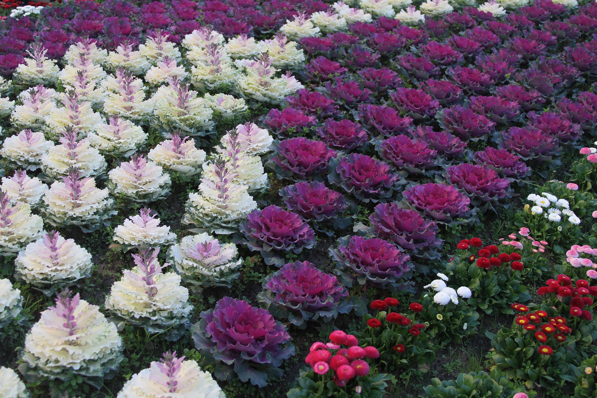 Aerial view of Bom Jesus sanctuary and surroundings