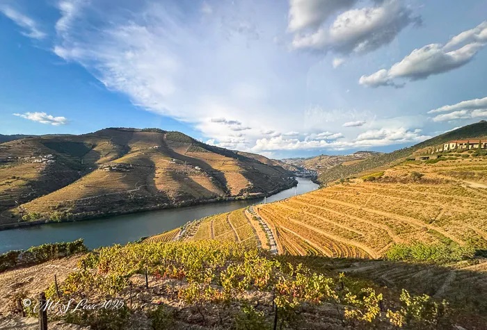 Dramatic Douro landscape from viewpoint