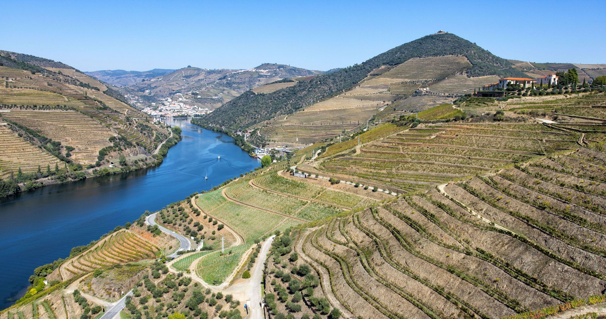 Breathtaking privileged viewpoint over Douro Valley terraced vineyards and river bends