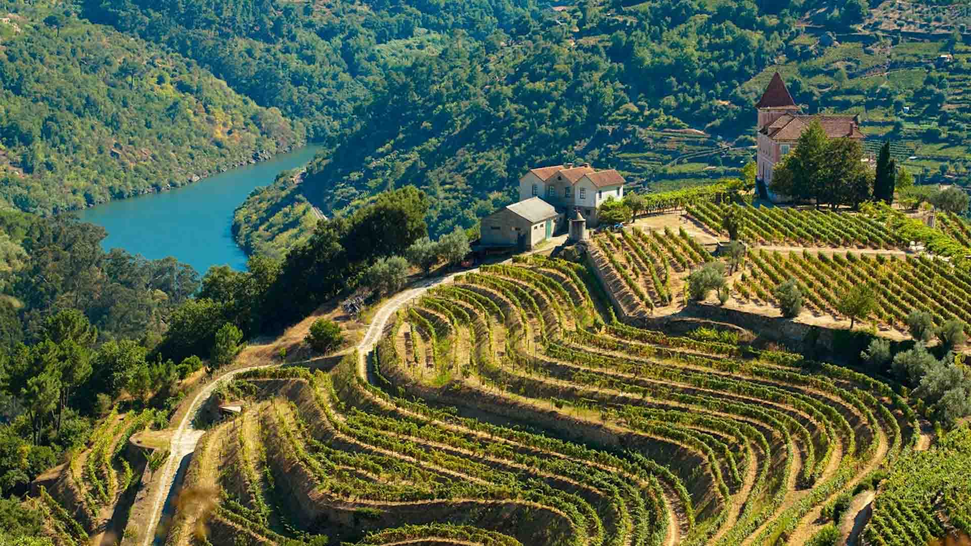 Signature moment of quiet luxury in the Douro Valley – privacy, sophistication and timeless beauty