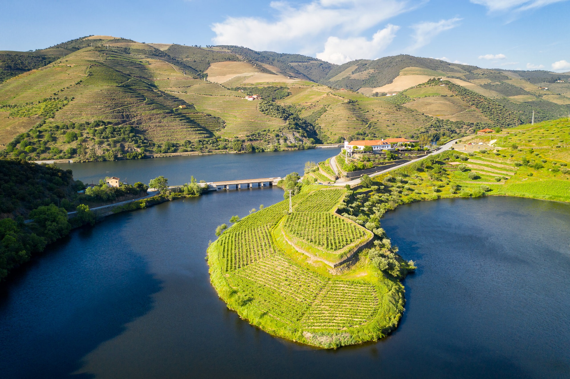 Serene Douro Valley vineyards, river bends and luxury private vehicle