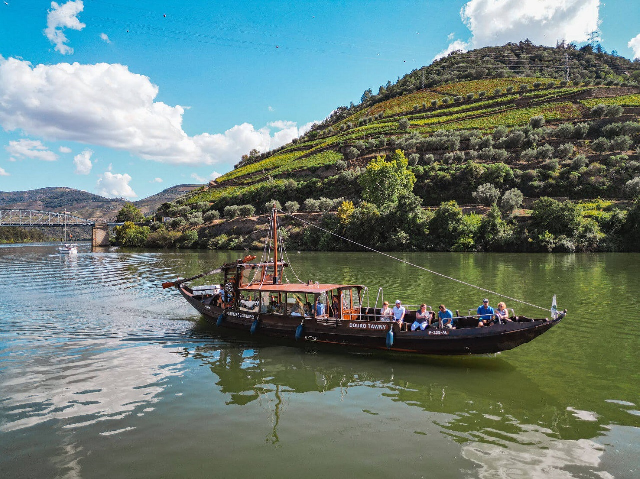 Exclusive private cruise on the serene Douro River with terraced vineyards and dramatic riverbanks