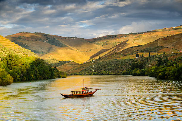 Peaceful countryside views with rolling vineyards and traditional villages on the return to Porto