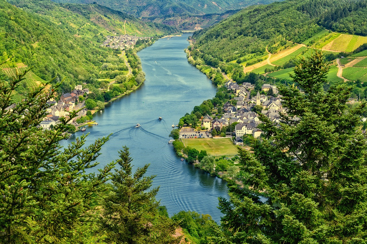 Rio Douro Private Tour